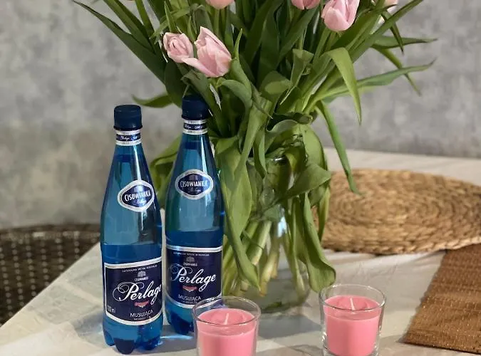 Poznan Airport Bara Nowo Business *