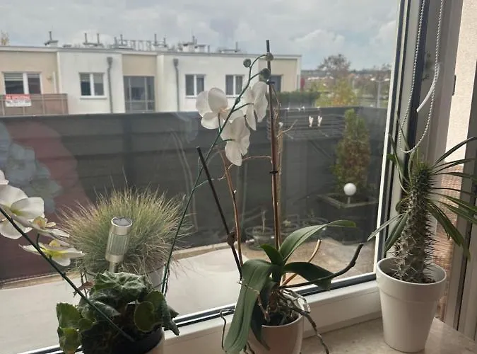 Poznan Airport Bara Nowo Business *